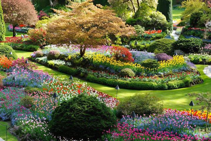 Création de jardin Coulommiers