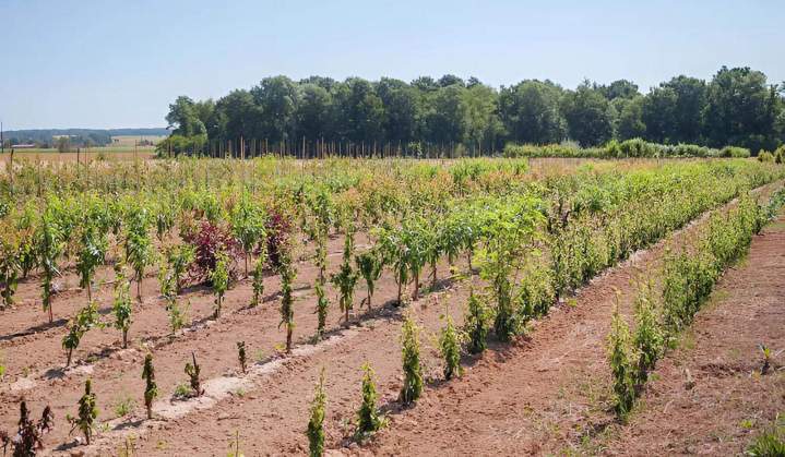 Service d'entretien Coulommiers