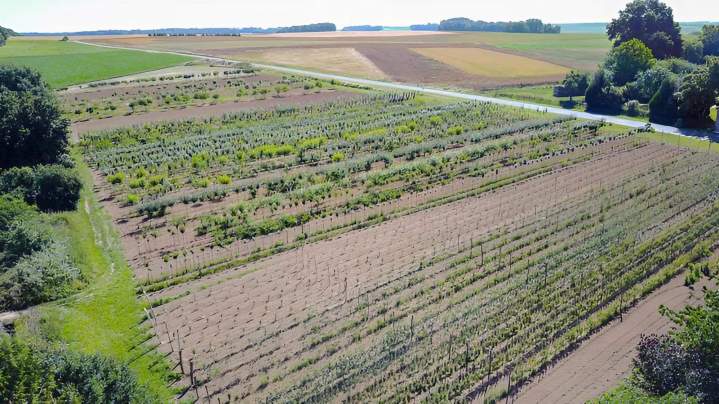 Service d'entretien Coulommiers