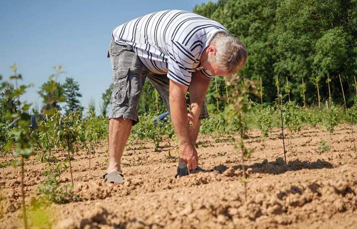Service d'entretien Coulommiers
