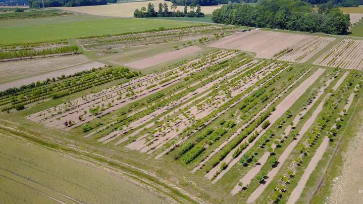 Pépinières pour particuliers à Coulommiers