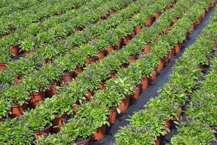 Des idées pour embellir votre espace